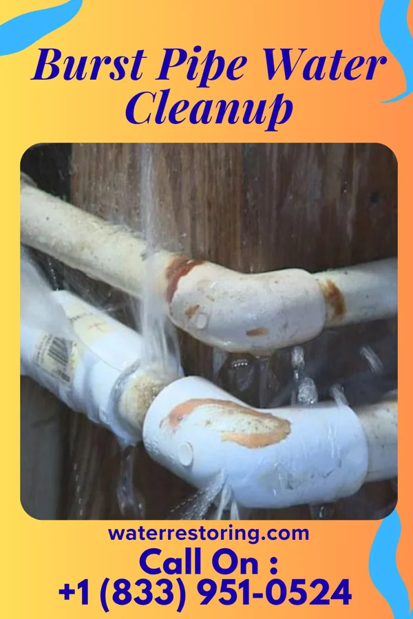 Burst Pipe Water Cleanup in Giddings, TX