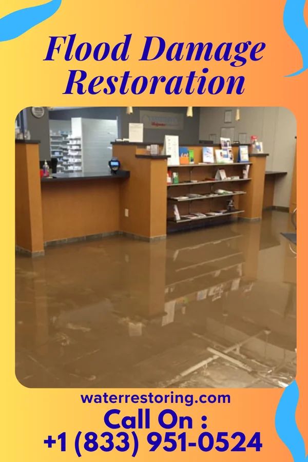 Flood Damage Restoration in Giddings, TX